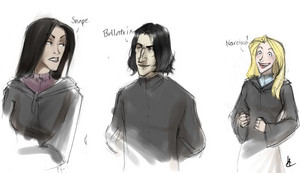  Bellatrix, Narcissa, and Snape