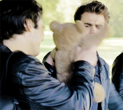  Damon and Stefan with Bonnie's menanggung, bear (animated gif)