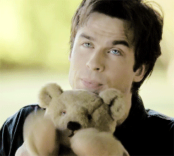  Damon with Bonnie's menanggung, bear (animated gif)