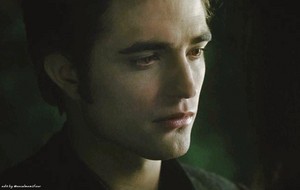  Edward Cullen in New Moon