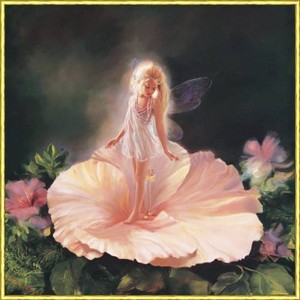  fleur Fairy