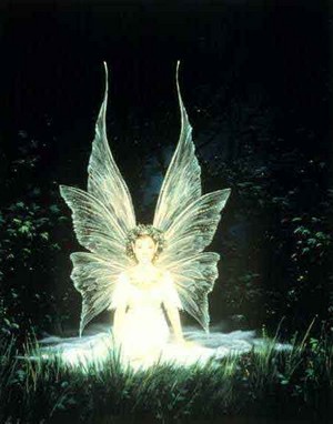  Light Fairy