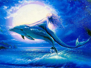  Mermaid with dolpin