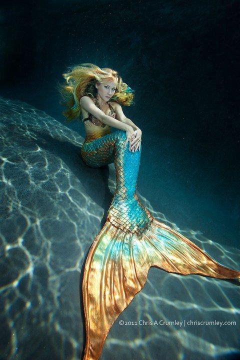 Mermaid with Gold Tail