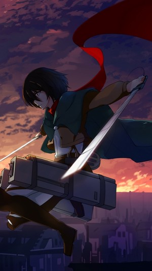 Mikasa 