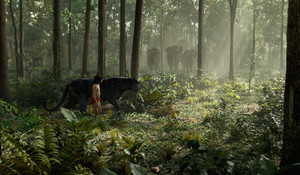  Mowgli and Bagheera see the Elephants