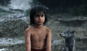 Mowgli and Grey