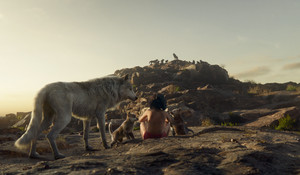 Mowgli and the Wolf Pack