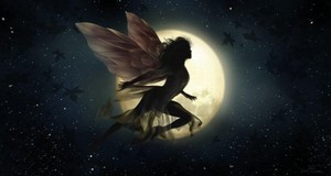  Night Fairy