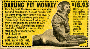  Pet Monkey ad in old comic book