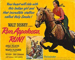 Run, Appaloosa, Run (1966) Poster