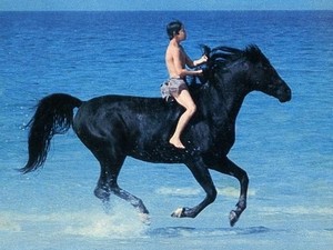The Black Stallion (1979) Still