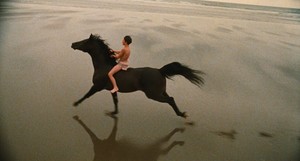  The Black Stallion (1979) Still