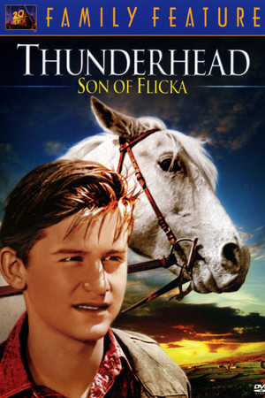  Thunderhead - Son of Flicka (1945) Poster