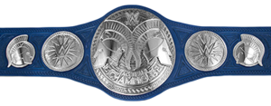  WWE Smackdown Tag Team Championship