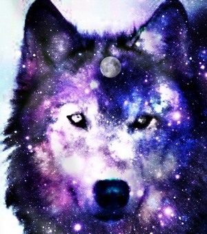  serigala, wolf ikon