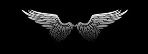  Angel – Jäger der Finsternis wings