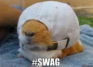  swag