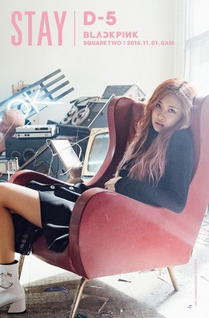  Black merah jambu reveal a lebih casual set of comeback teaser images!