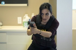  Blindspot - Episode 2.05 - Condone Untidiest Thefts - Promotional picha