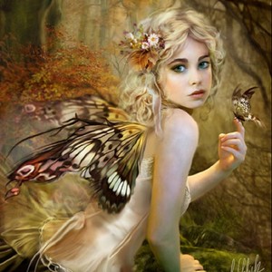  borboleta Fairy