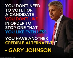  Gary Johnson (LIbertarian) Quote
