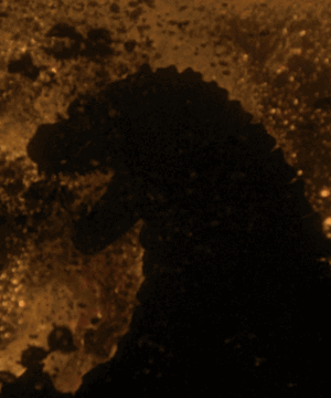  Godzilla 1992