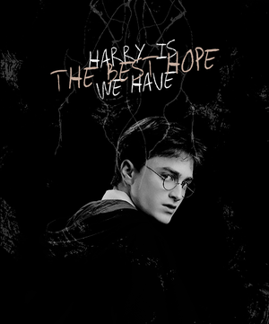  Harry