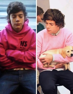  Harry in merah jambu