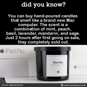  Mac-Scented Candles