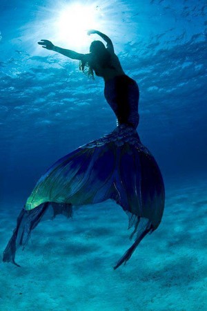  Mermaid Swimming
