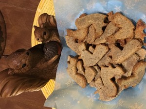 Squirrel cookies