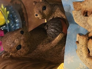 Squirrel cookies