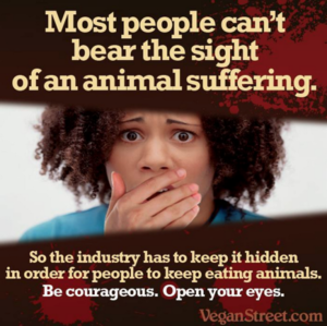  Suffering animais