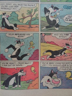  Sylvester's out of shape