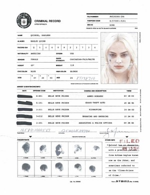  A.R.G.U.S. Files - Harley Quinn's Criminal Record