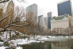  Central Park, New York in Winter