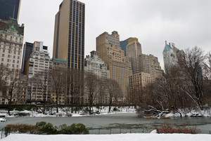  Central Park, New York in Winter