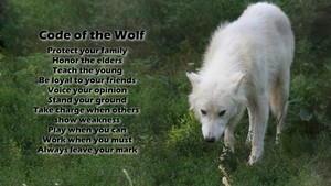  Code Of The serigala, wolf