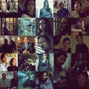  Colony Picture Grid