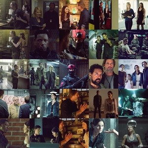  Colony Picture Grid