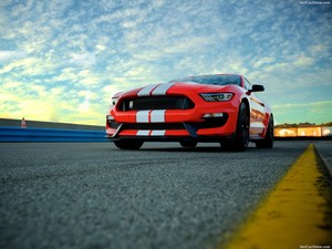  Ford マスタング, マストン Shelby GT350 2016 Red