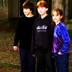  Harry, Ron and Hermione peminat Art