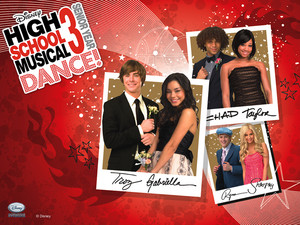 High School Musical 3 Senior Year 