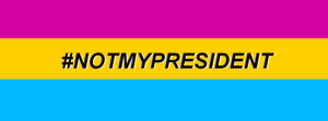  NotMyPresident Banner