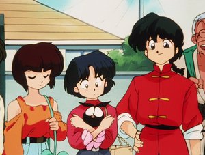  Ranma, Akane, P-chan, and Nabiki