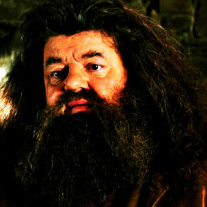  Rubeus Hagrid
