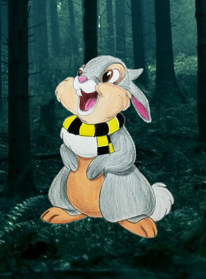  Thumper in Hufflepuff