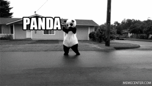  panda panda panda car oooooh shit!!!