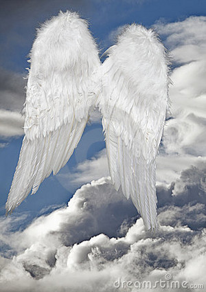  Angel Wings